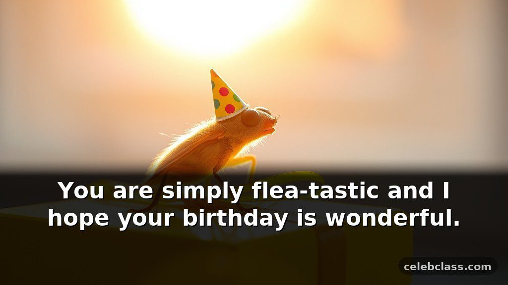 Flea puns and jokes for cards and greetings